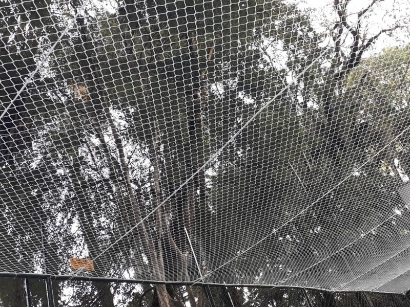 Telas de segurança para Sacadas em Salvador