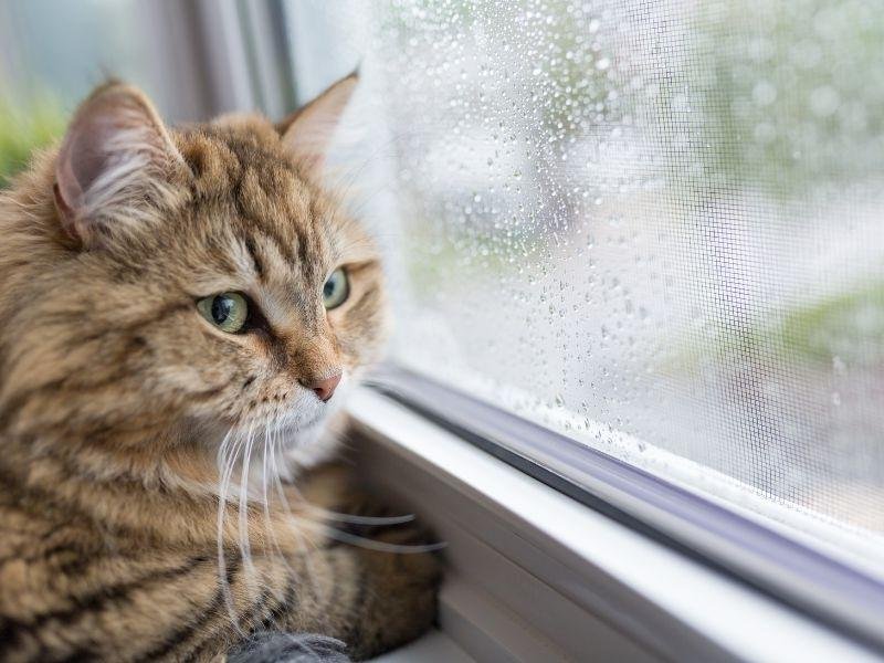 Redes de segurança para playgrounds em Salvador