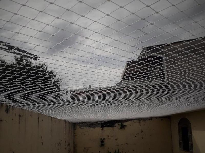 Garanta a segurança de animais com tela de proteção em Salvador