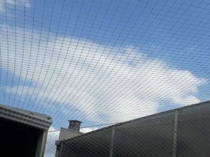 Redes de segurança para creches em Salvador