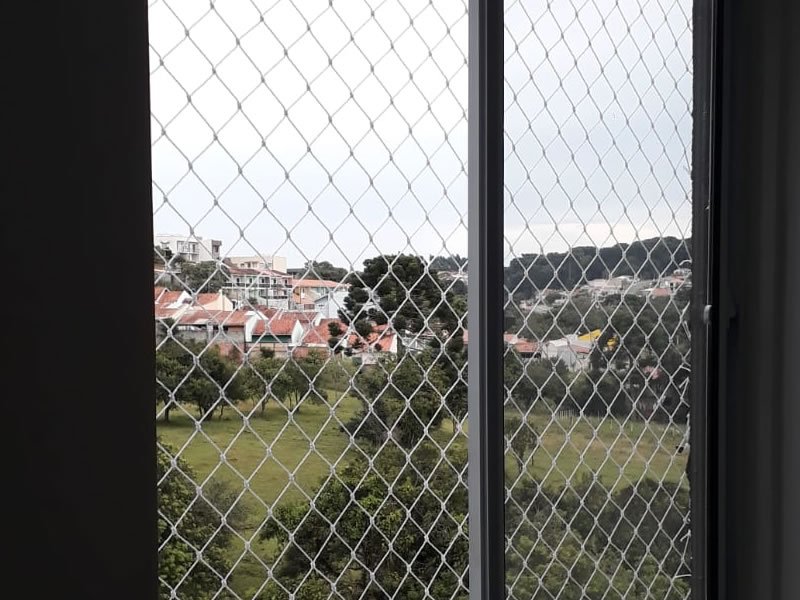 Rede de Proteção para Gatos em Salvador Rede de Proteção para Gatos em Salvador