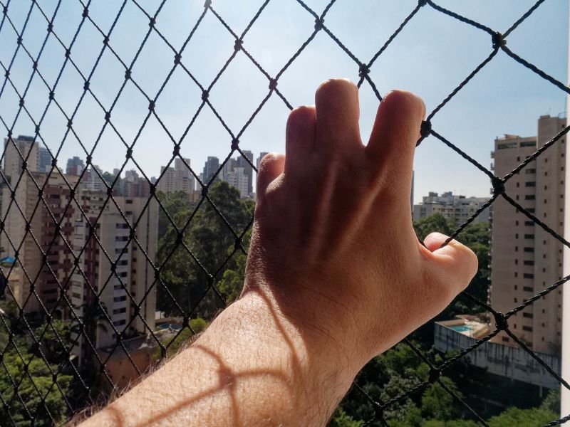 Tela de Proteção para Gatos em Salvador Tela de Proteção para Gatos em Salvador